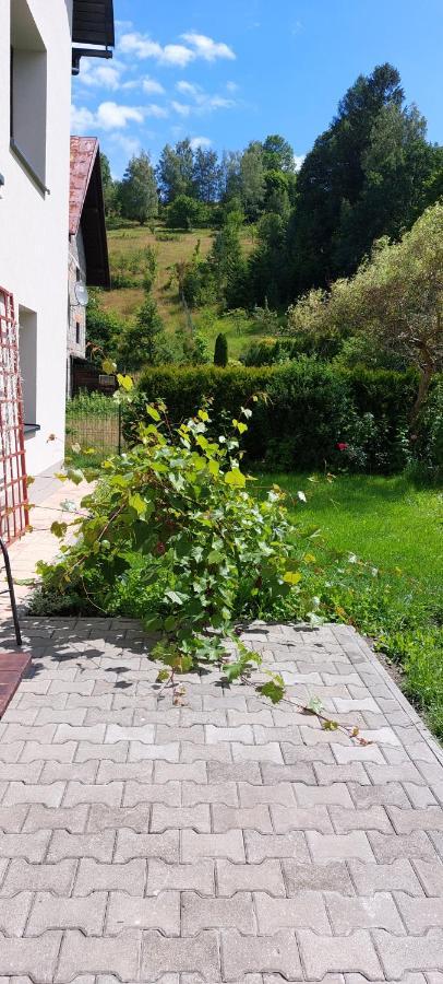 Apartamenty Montania Wisła Exterior foto